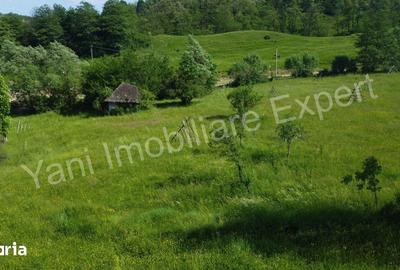 Teren de 2400 mp, în Valea Danului - 6