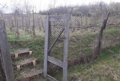 Teren de 760 mp, în Central - 1