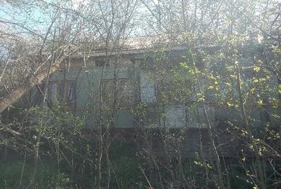 Casă cu 3 camere cu Teren 7300 Mp în Băleasa - 4