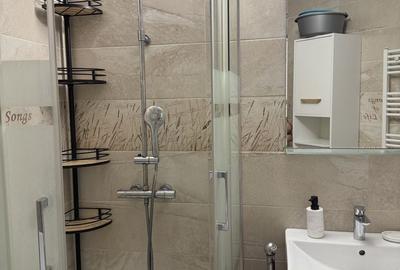 Apartament cu 2 camere decomandat în Pădurii - 2