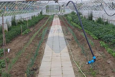 Teren Construcții extravilan de 9500 mp, în Șura Mare - 3