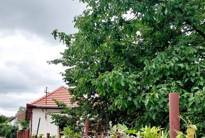 Casă individuală cu 3 camere cu Teren 453 Mp în Dealuri Oradea - 7