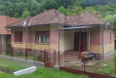 Casă cu 4 camere cu Teren 3745 Mp în Nădrag - 8