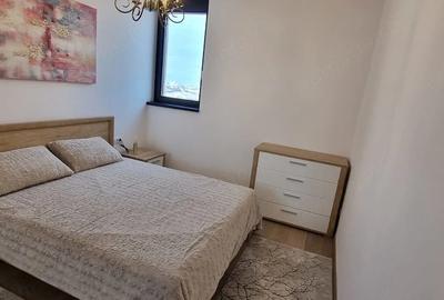 Apartament cu 2 camere semidecomandat în Take Ionescu