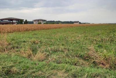 Teren Construcții intravilan de 4000 mp, în Țegheș - 7