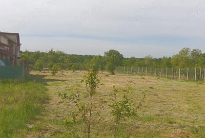 Teren de 550 mp, în Tăuții-Măgherăuș - 2