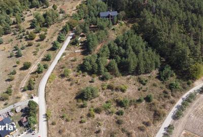 Teren de 5000 mp, în Porolissum
