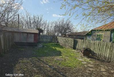 Casă cu Teren 4130 Mp în Scorțaru Nou