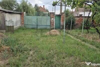 Casă cu 4 camere cu Teren 1993 Mp în Cheresig - 5