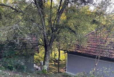 Casă cu 3 camere în Blăjeni