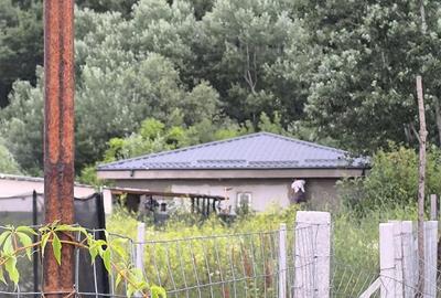 Casă cu 3 camere cu Teren 500 Mp în Clinceni - 6
