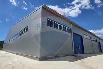 Spațiu industrial, de 9,618 mp, în Central - 1