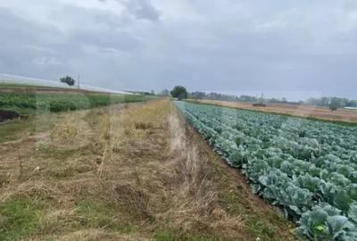 Teren de 4700 mp, în Central