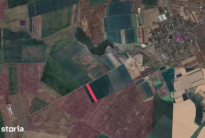 Teren de 13700 mp, în Nojorid