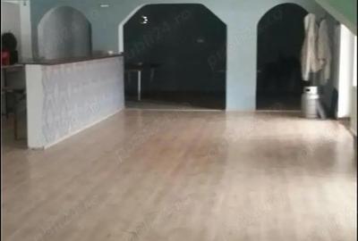 Spațiu comercial, de 190 mp, în Buziaș - 9