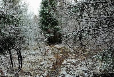 Teren de 6100 mp, în Central