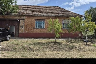 Casă cu Teren 3500 Mp în Berliște - 2