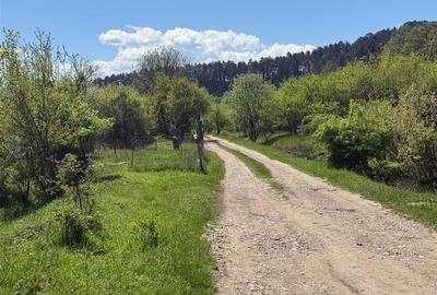 Teren Construcții intravilan de 2717 mp, în Hărman - 3