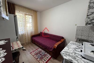 Garsonieră nedecomandată, mobilată în Alexandru cel Bun
