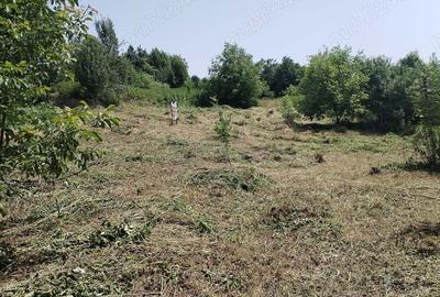 Teren de 2200 mp, în Aiton - 3