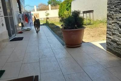 Casă cu 5 camere cu Teren 300 Mp în Central - 7