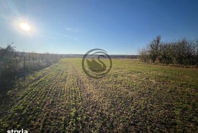 Teren de 12650 mp, în I. L. Caragiale