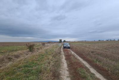 Teren agricol extravilan de 48100 mp, în Hălchiu - 9