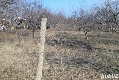 Teren de 2300 mp, în Blidari (Cârligele) - 3