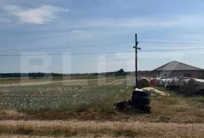 Teren de 5100 mp, în Mihai Viteazu