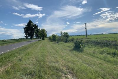 Teren Construcții intravilan de 13200 mp, în Central - 1