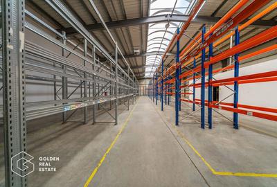 Spațiu industrial, de 704.71997070313 mp, în Aradul Nou - 29