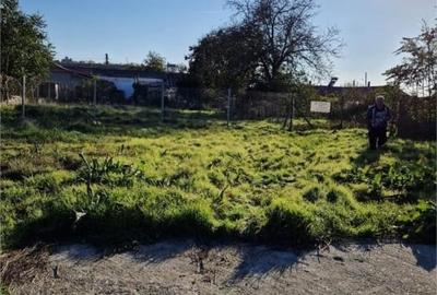 Teren Construcții intravilan de 500 mp, în Murfatlar - 2