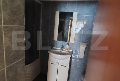Casă individuală cu 2 camere cu Canalizare în Suceagu - 11