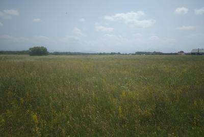 Teren agricol intravilan de 500 mp, în Tărlungeni - 6