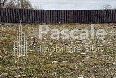 Spațiu comercial, în Sadu - 4