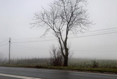 Teren de 6600 mp, în Vânători - 1