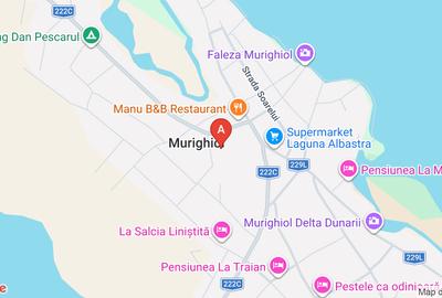Teren agricol extravilan de 30000 mp, în Murighiol - 1