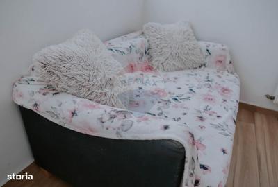 Apartament cu 2 camere în Roșu - 11