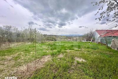 Teren de 728 mp, în Central