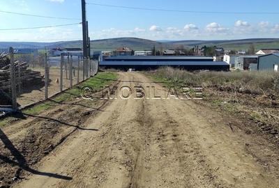 Teren de 5000 mp, în Miroslava