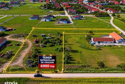 Teren de 6900 mp, în Livada - 1