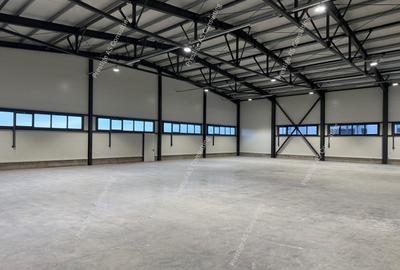 Spațiu industrial, de 925 mp, în Ghiroda
