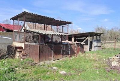 Casă cu 3 camere cu Teren 4636 Mp în Gherteniș