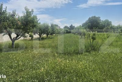 Spațiu comercial, în Ambud - 16