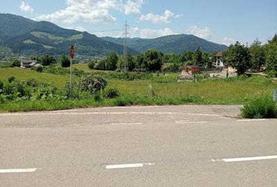 Teren intravilan de 8600 mp, în Viișoara - 9