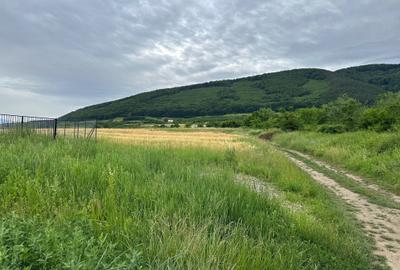 Teren de 1100 mp, în Poplaca - 3