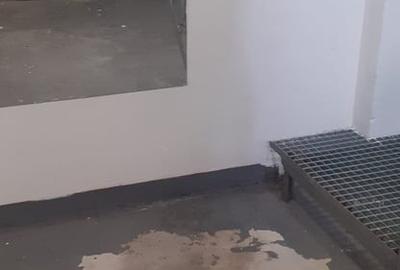 Casă cu 2 camere cu Teren 250 Mp în Pantelimon - 4