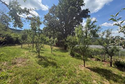 Casă individuală cu 3 camere cu Teren 3000 Mp în Exterior Est