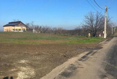 Teren de 5000 mp, în Glina - 2