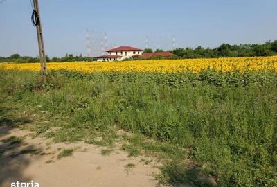 Teren de 1096 mp, în Ciolpani